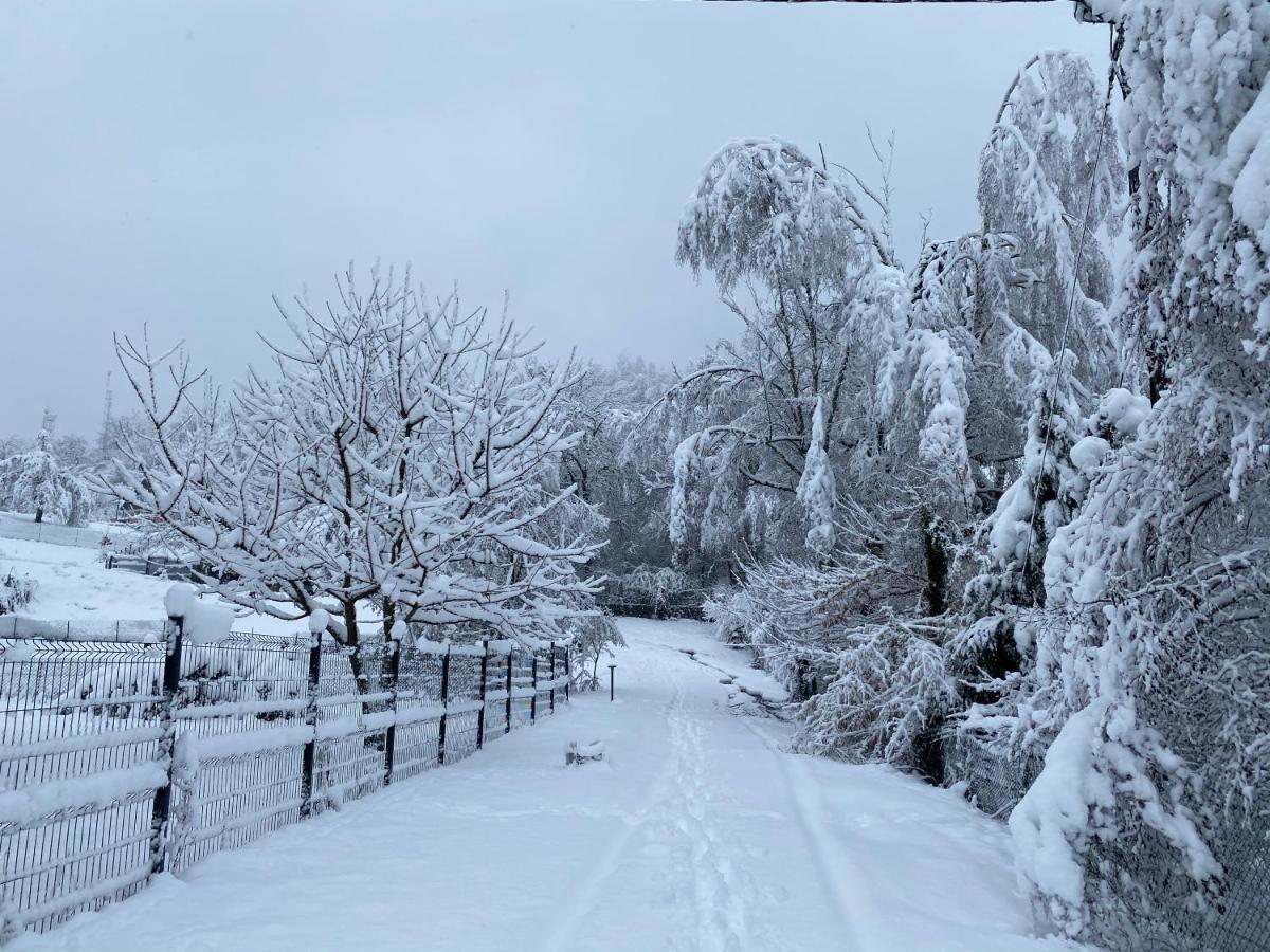 Vila Chez Nono Mitzach Exteriér fotografie